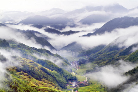 跨越年龄的深情：相差20岁姐弟恋的26年风雨共度